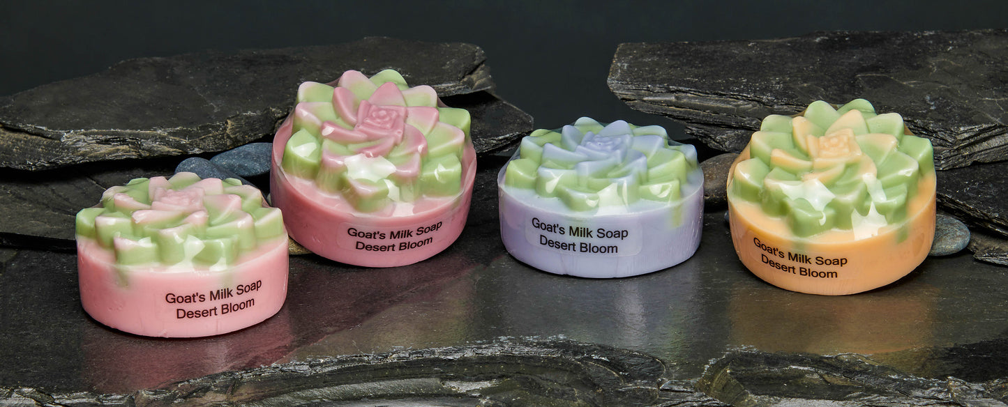 Succulent Soap-Desert Bloom