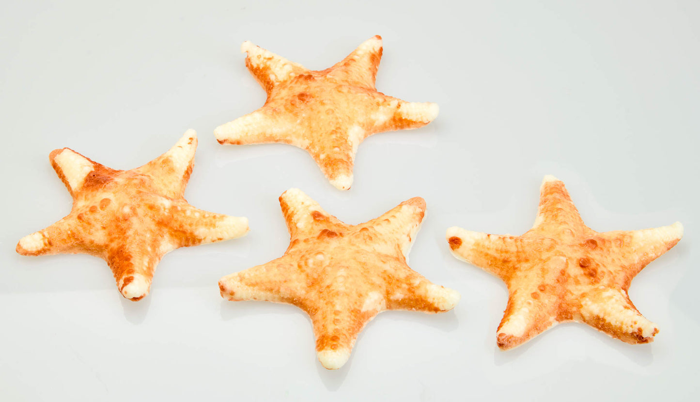 Starfish Soap-Island Citrus