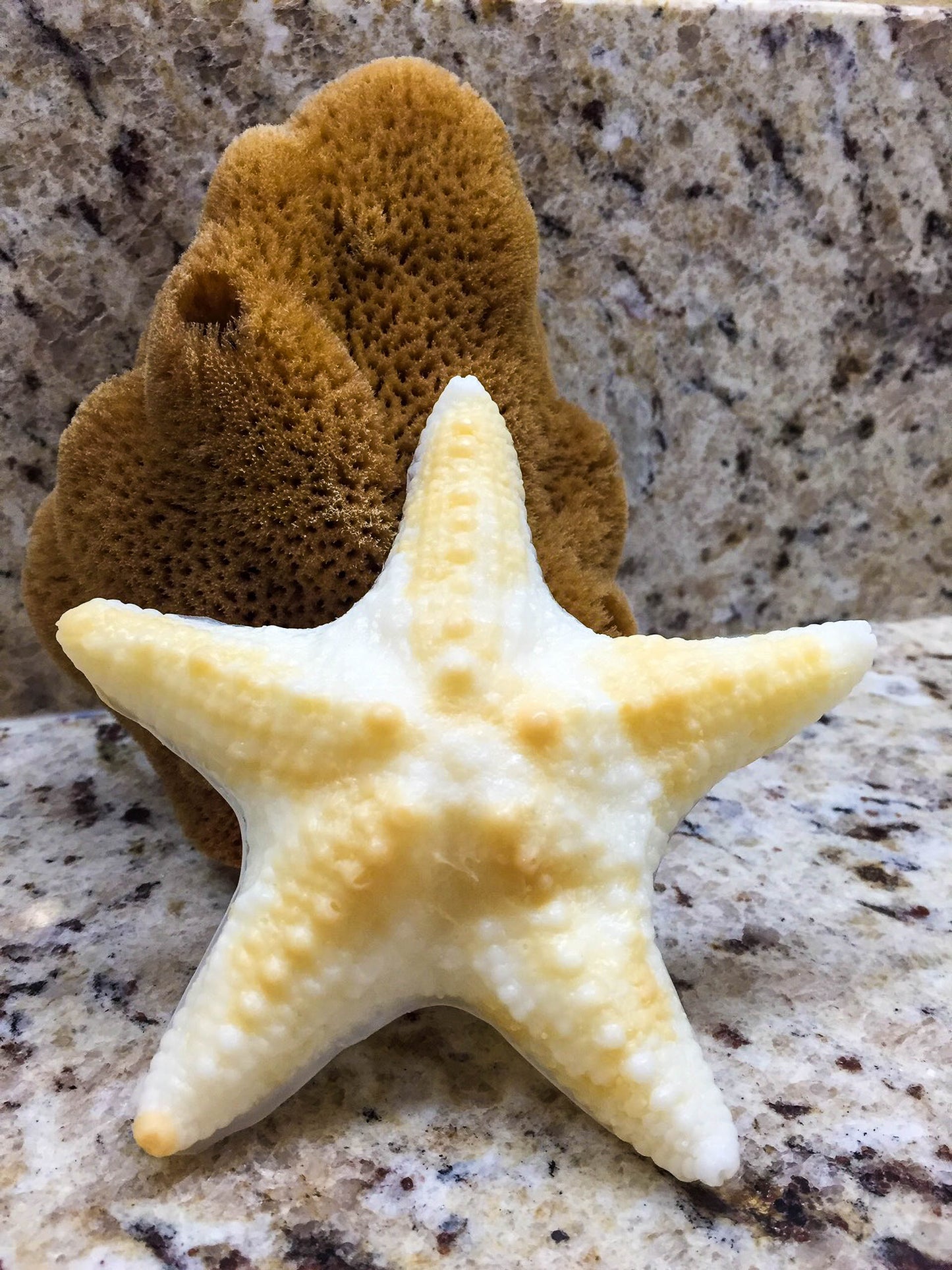 Starfish Soap-Island Citrus